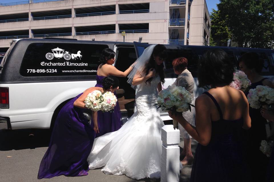 Enchanted Limousine