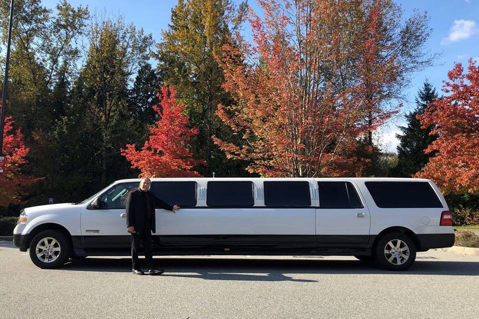 Enchanted Limousine