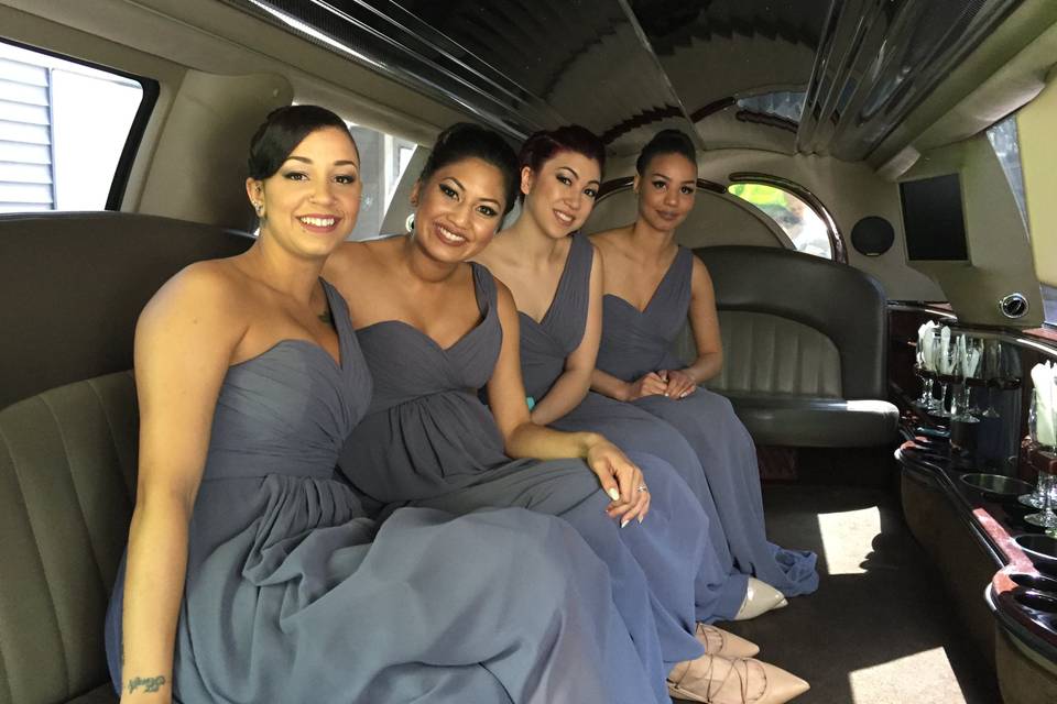 Beautiful Bridesmaids