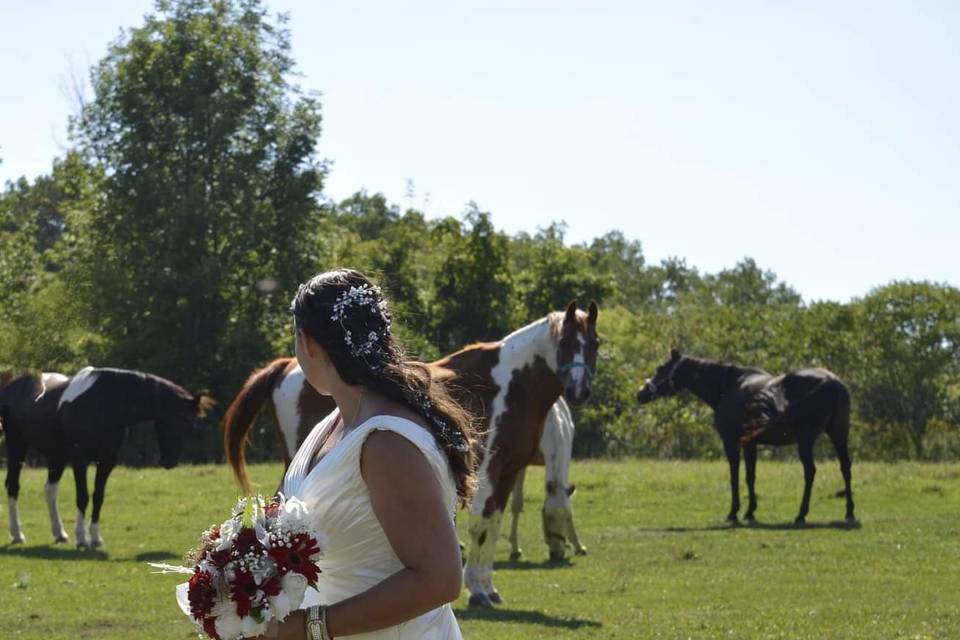 A girl and her horse