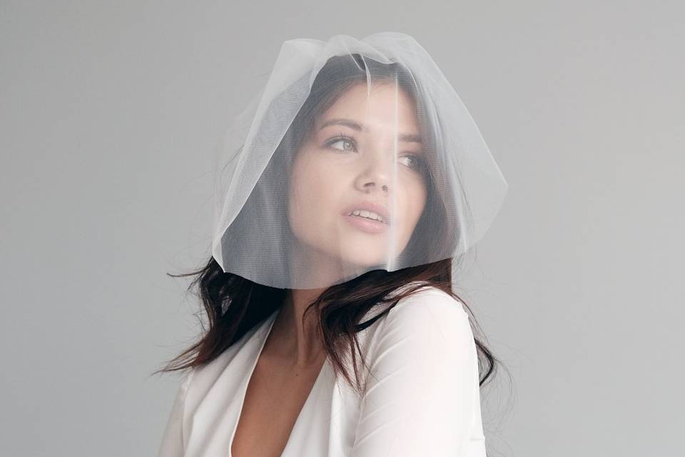 Birdcage veil