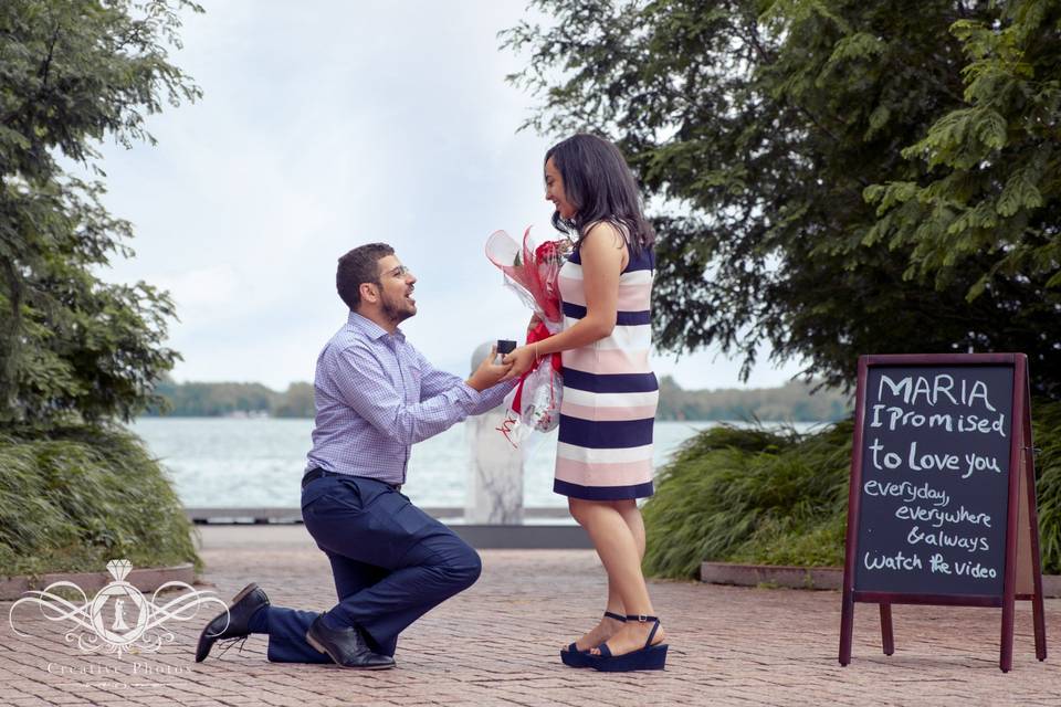 David's & Maria Proposal