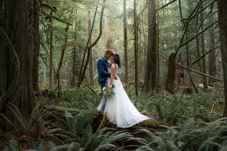 Cathedral Grove Wedding