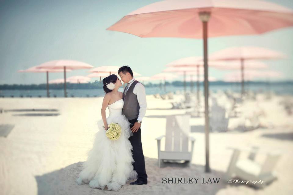 Shirley Law Photography