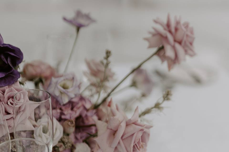 Cassie cetlin photo