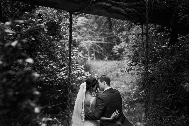 Red Deer Summer 2021