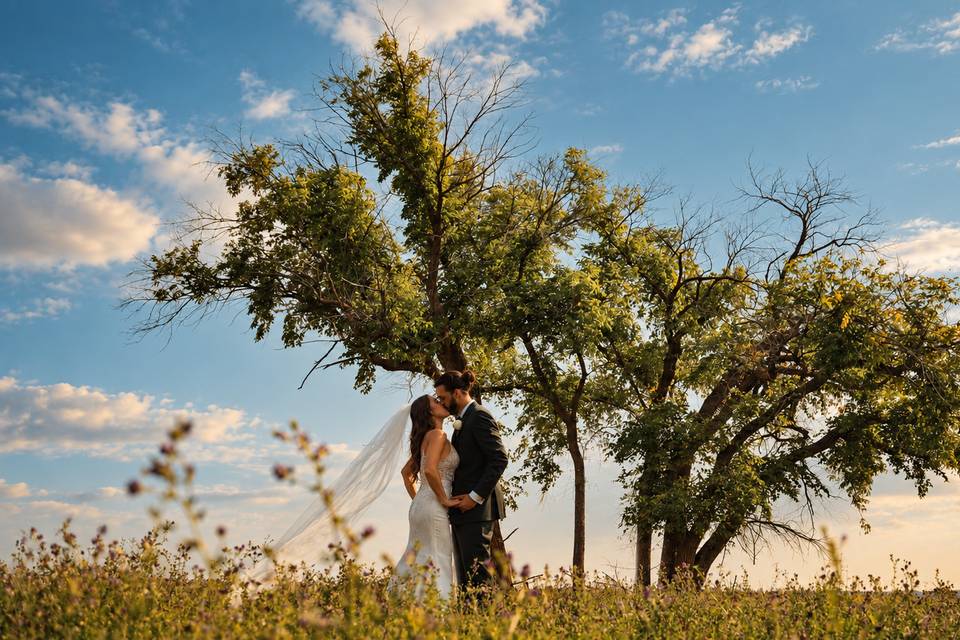 Under the Old Oak