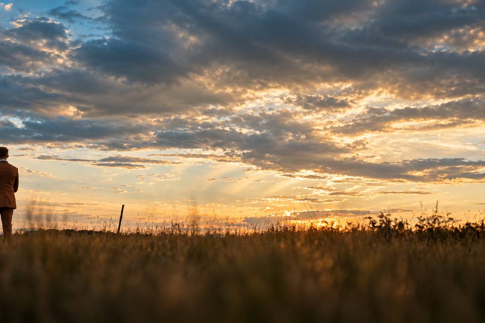 Golden Hour in the Meadow