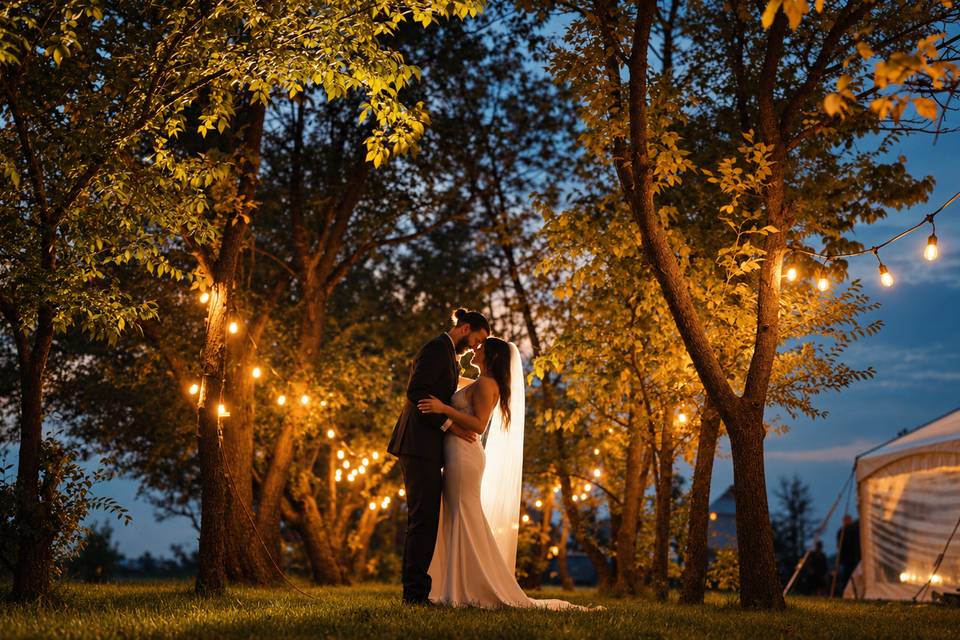 Twilight Under the Lights