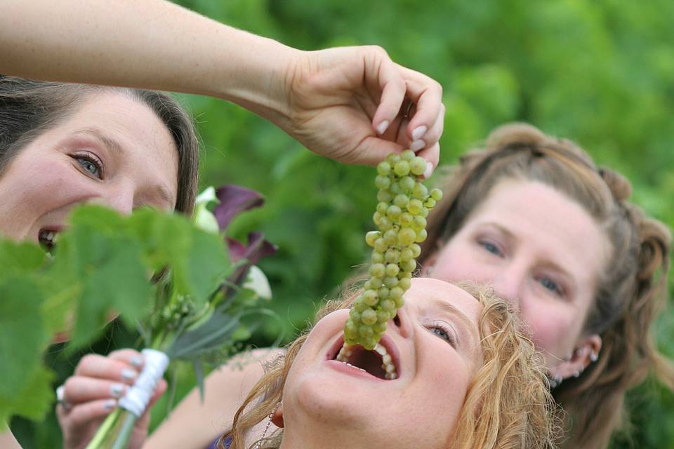 Winery Bride