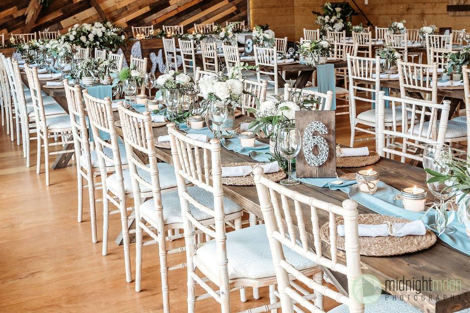 Chiavari chairs