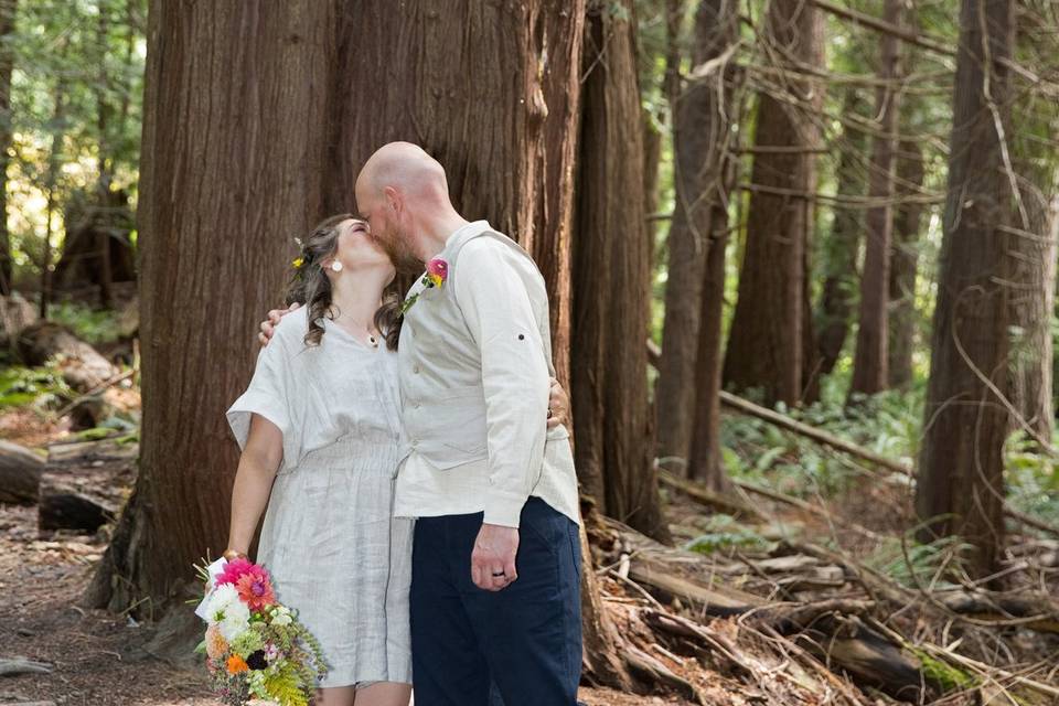 Tree Kiss