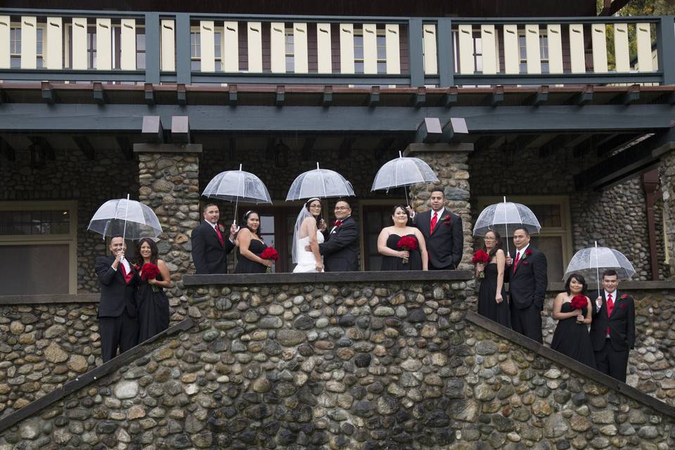 Wedding Party with Umbrellas