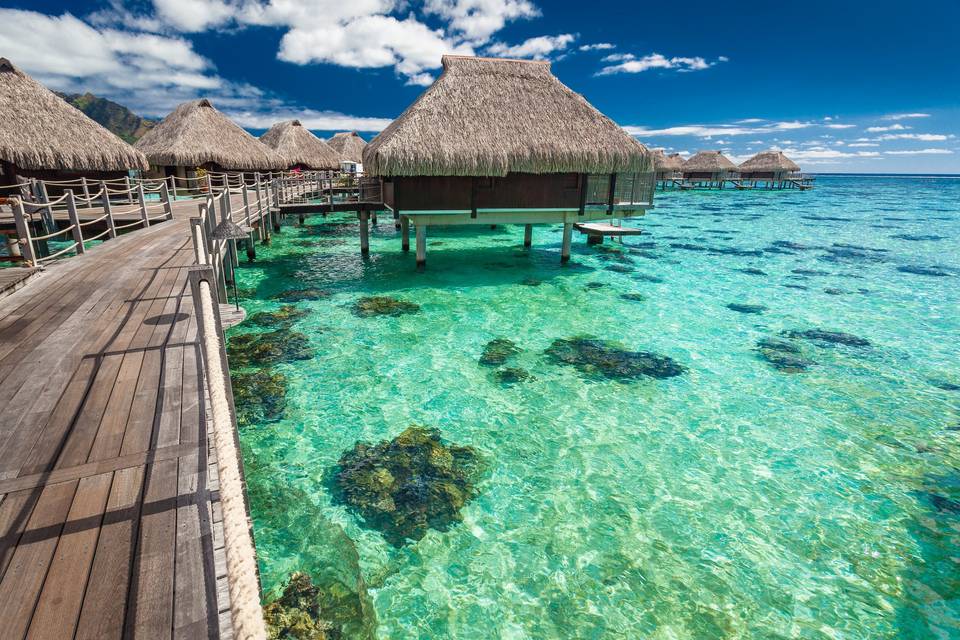 Luxury over water bungalows