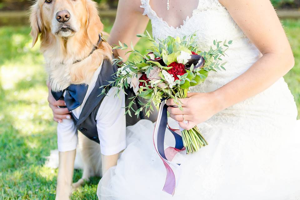 Bride and her dog