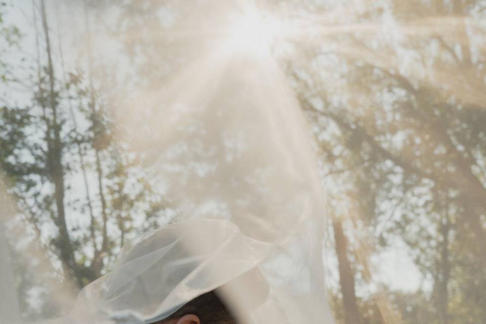 Wedding Portraits