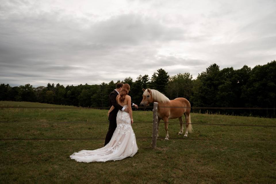 Whispering Springs Wedding