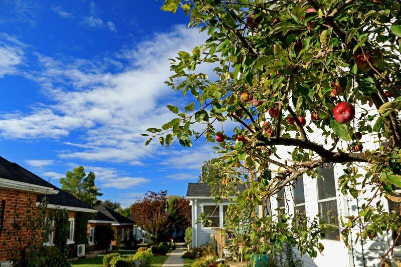 Cottages