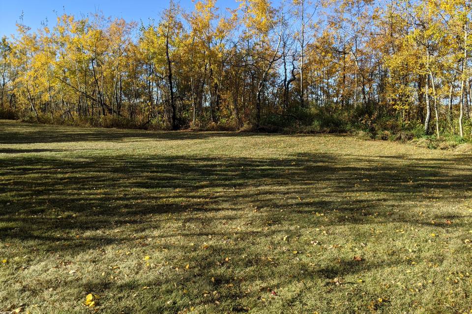 Garden Ceremony Space Fall