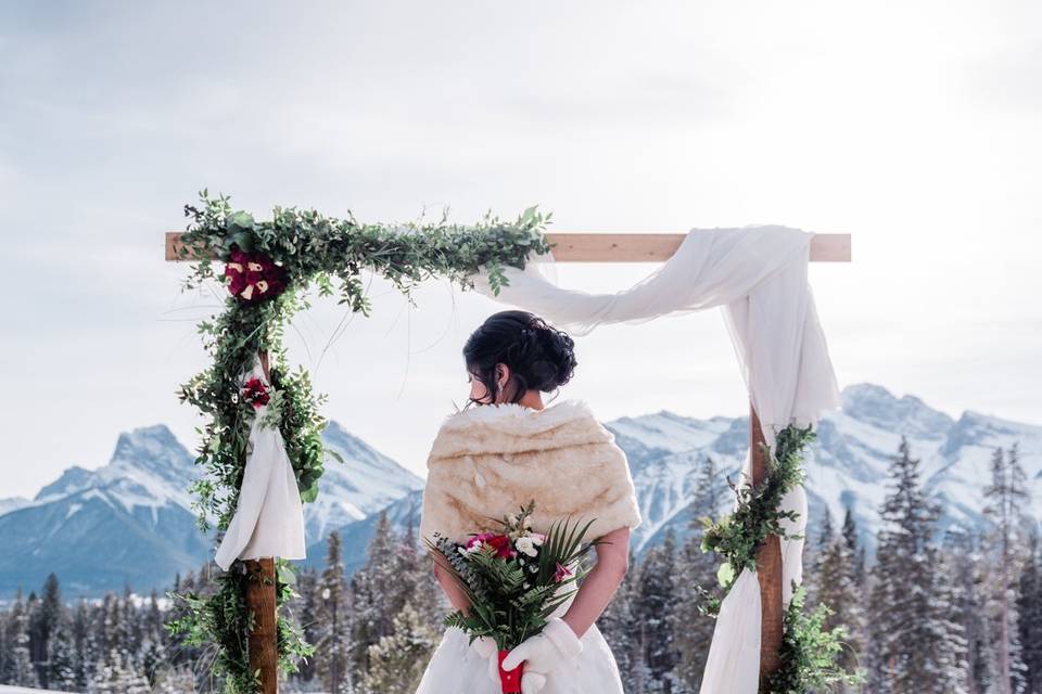 Silvertip Winter Wedding