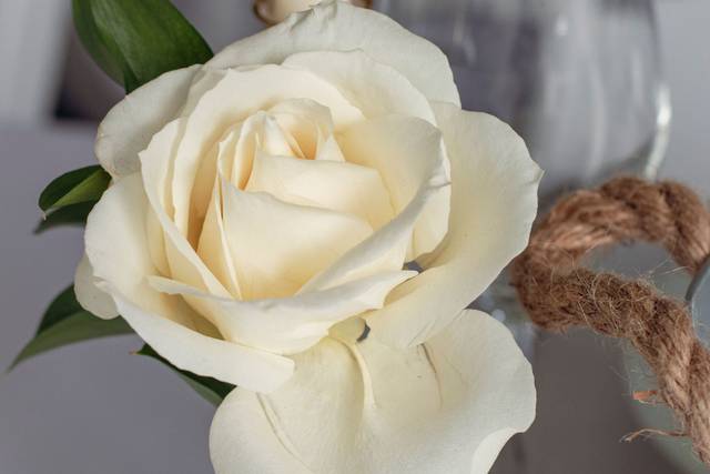 White rose & candles decor