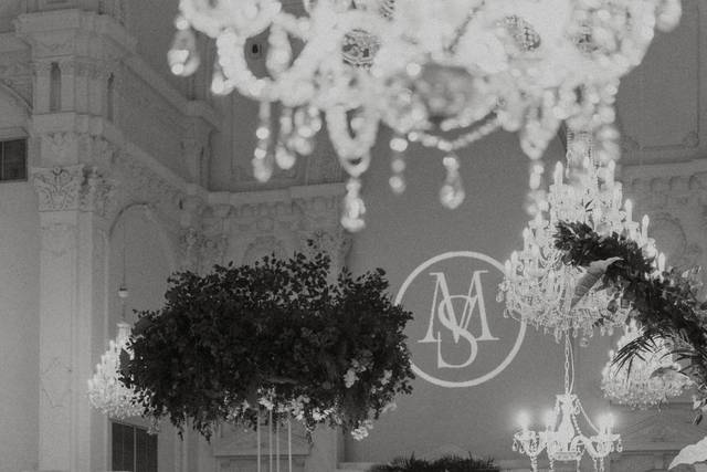 M+S reception/