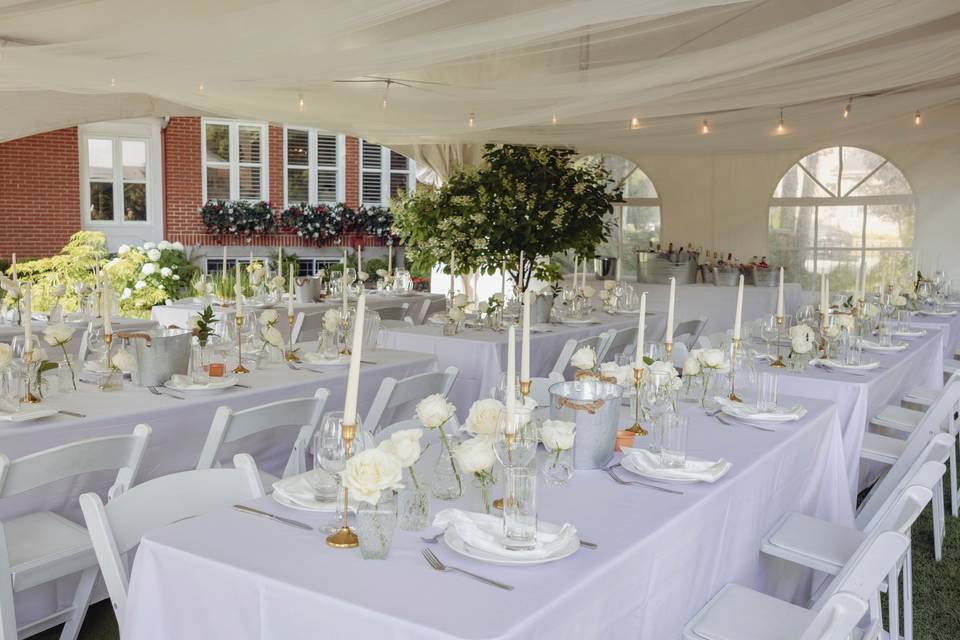 White rose & candles decor