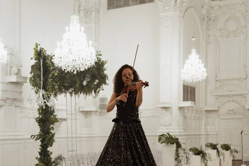 Elevated violonist