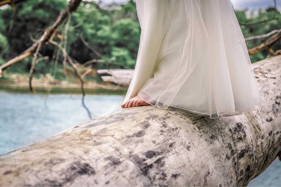 The bride who climbed a tree