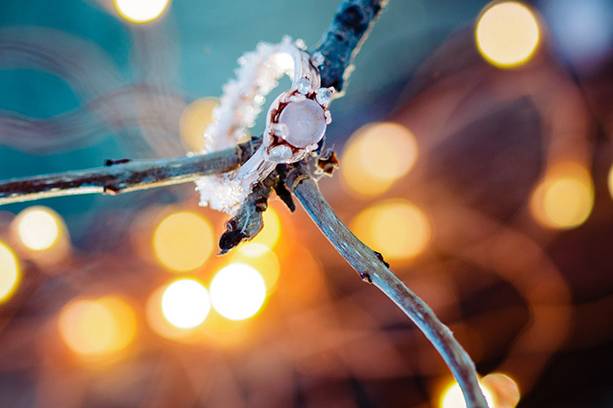 Engagement ring prettiness