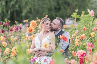 Sparrow Photography