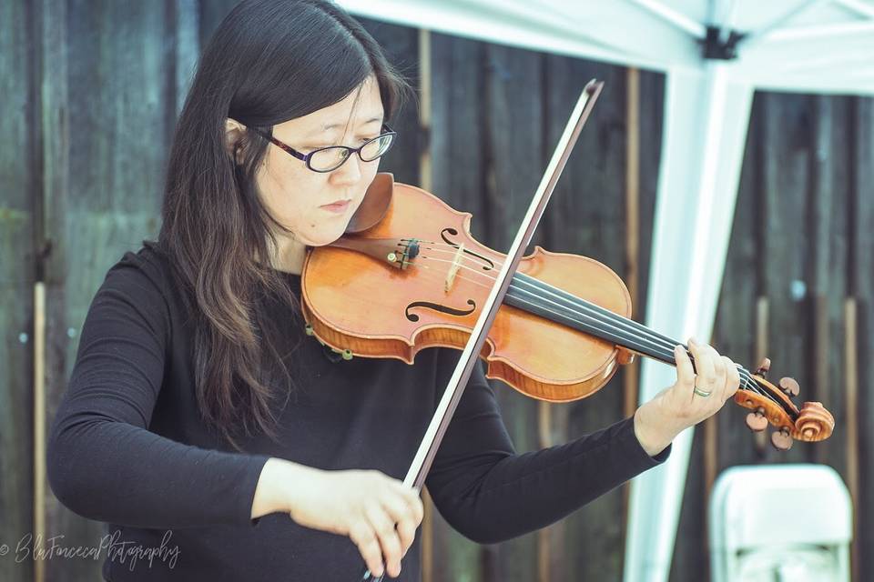 Auspicious Melody - Violinist
