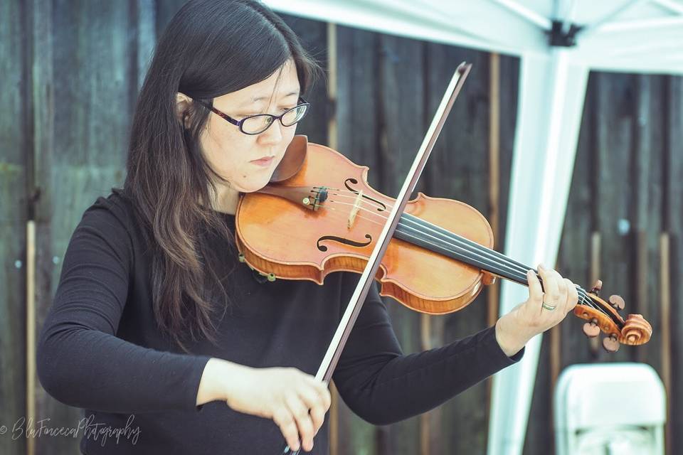 Violinist