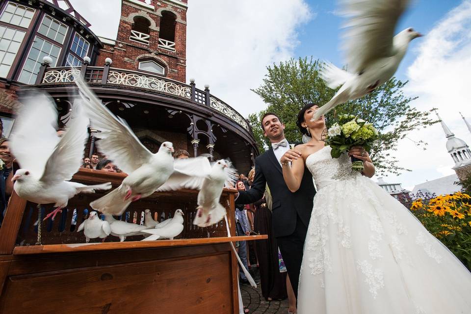 Montreal Wedding Photography