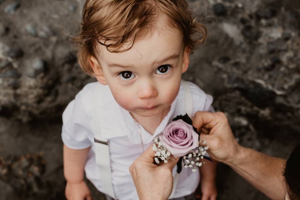 Cutest Ring Bearer