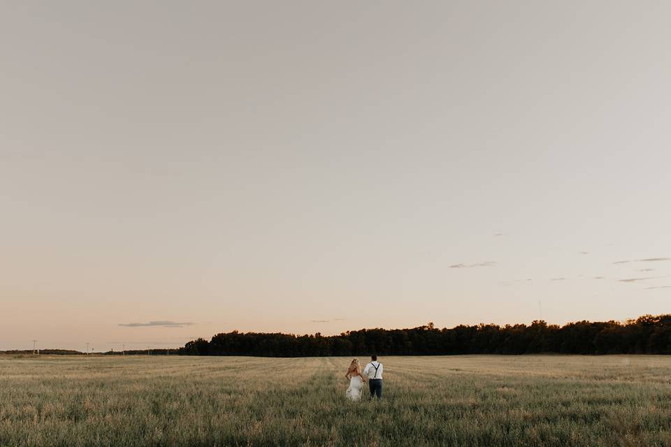 Whitetail Meadow