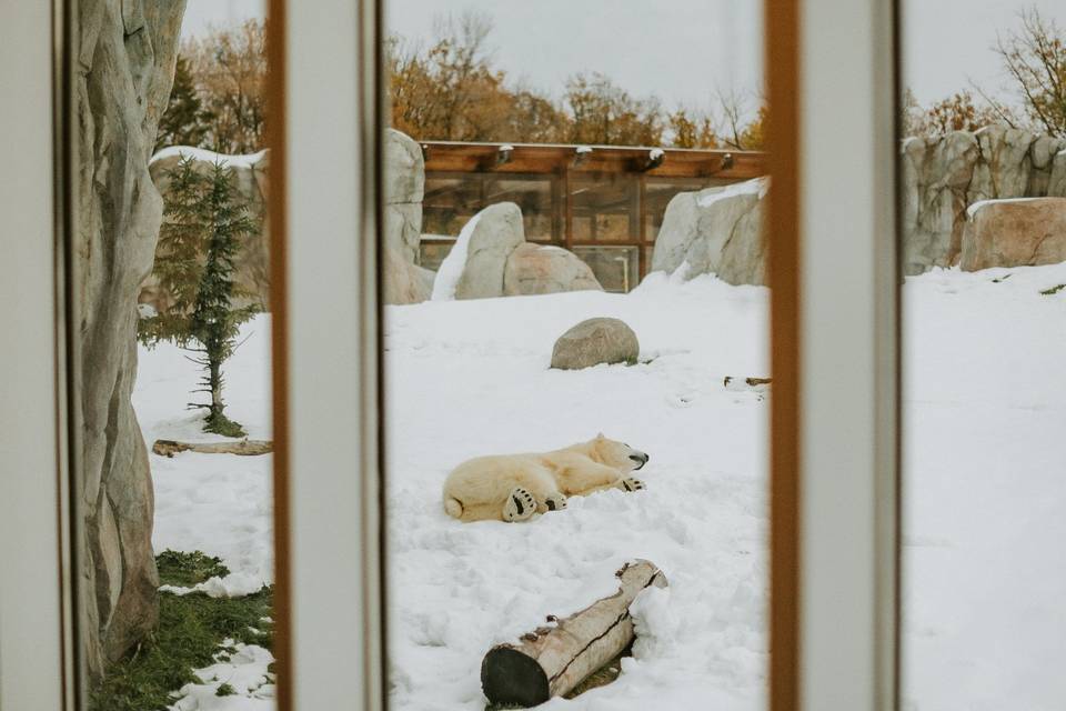 Assiniboine Park Zoo