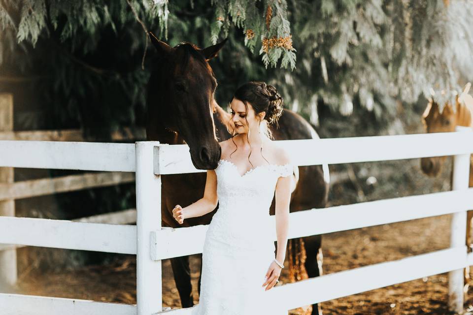 Loft Country Weddings & Carriages