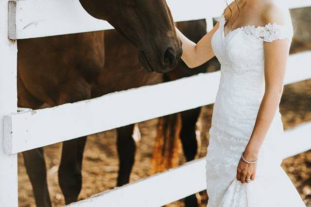 Loft Country Weddings & Carriages