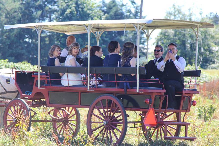 Guests on the carriage