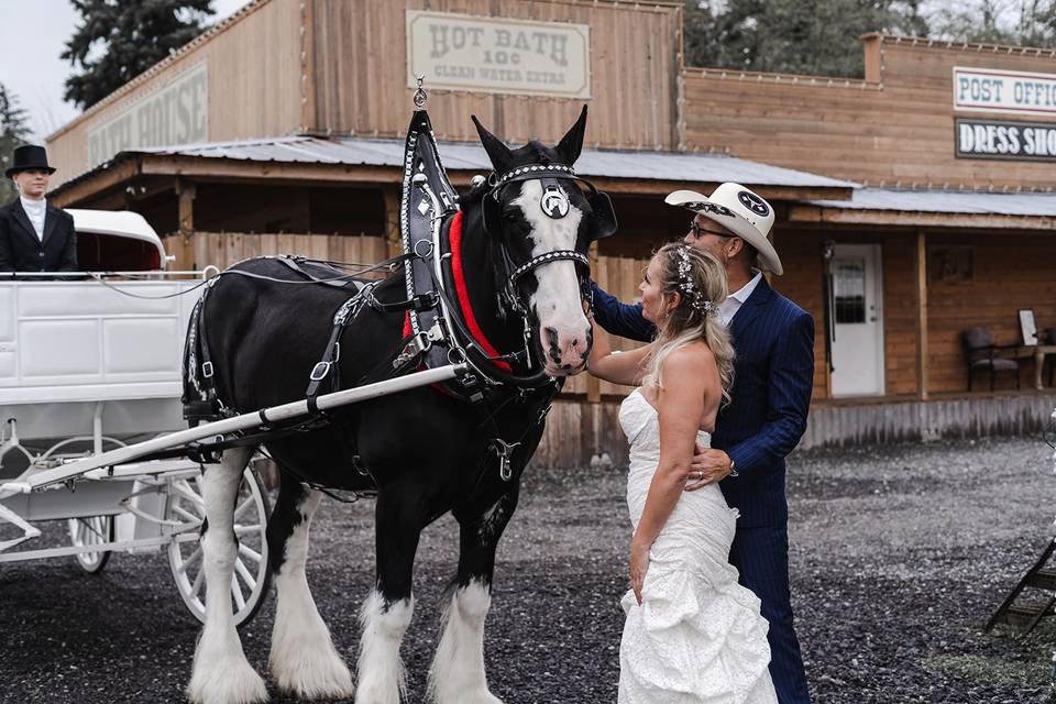 Loft Country Weddings & Carriages