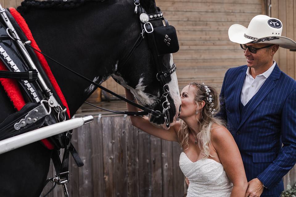 Loft Country Weddings & Carriages