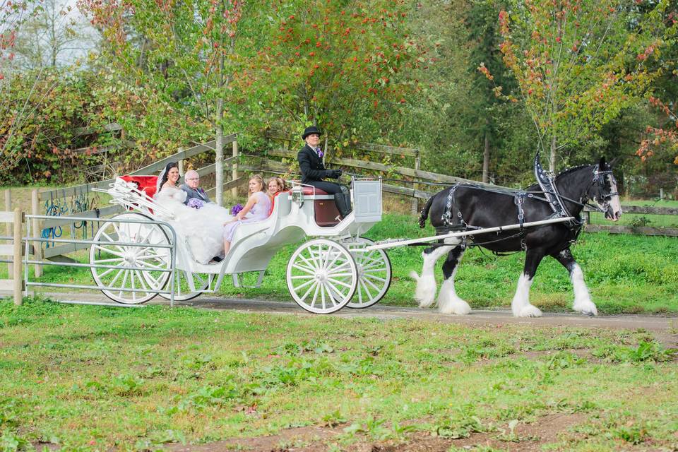 Loft Country Weddings & Carriages