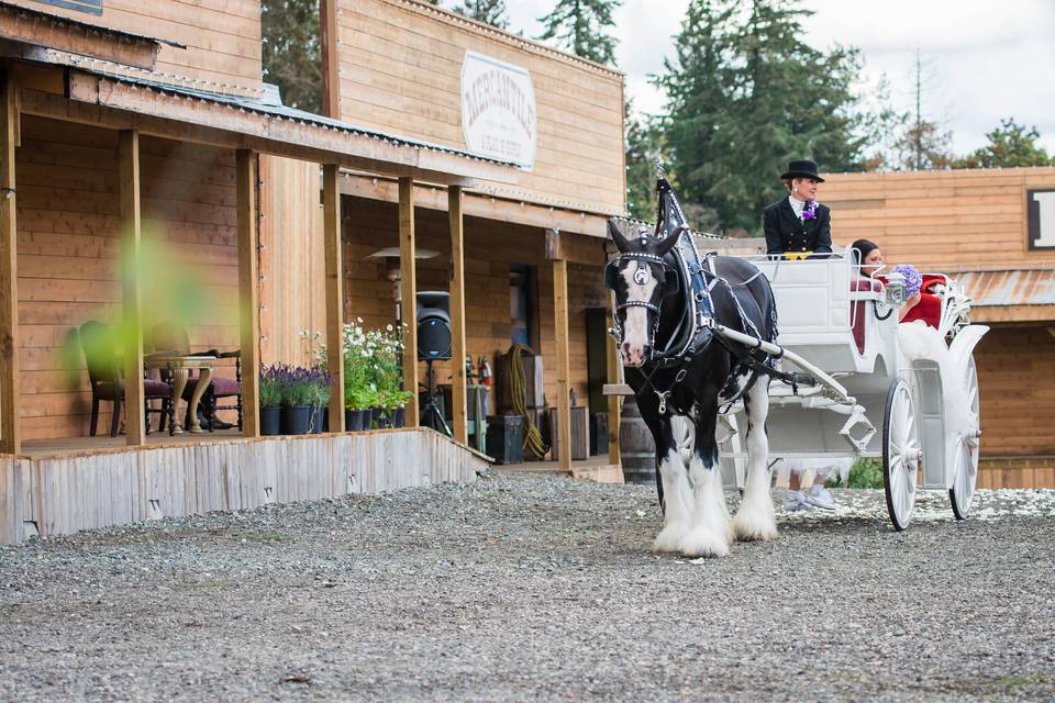 Loft Country Weddings & Carriages