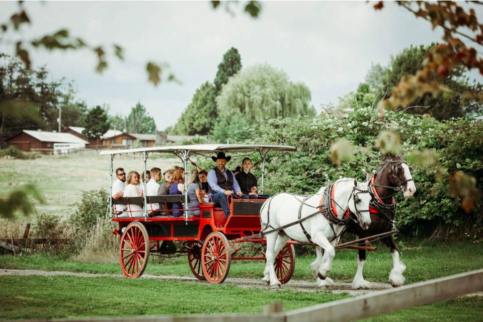 Taking guest to the ceremony