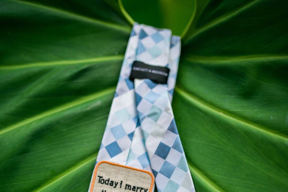 Hidden Messages on a Tie!