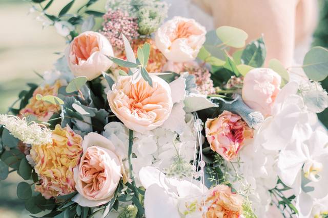 Apple Blossom Flowers