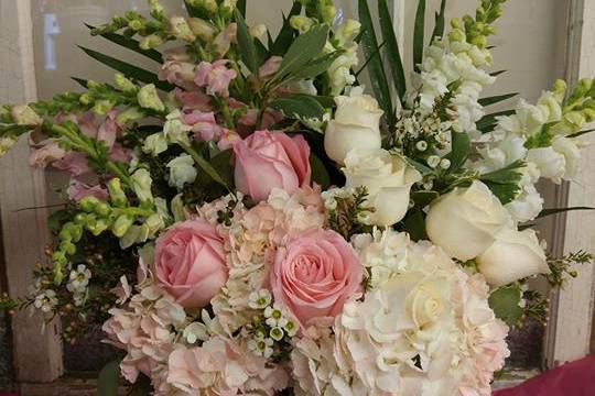 Apple Blossom Flowers