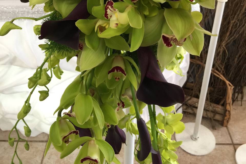 Cymbidium and calla