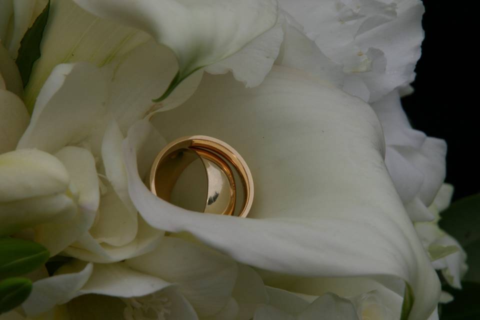 Rings - Wedding Photography Studios